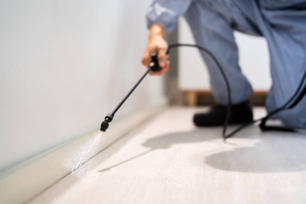 Licensed Fumigation Services service in Ellis County County, KS - Nex Pest Control